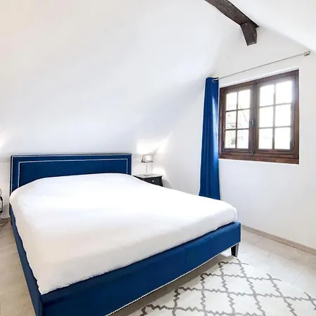 La Champenoise & Jardin - Le1600troyes Appartement
